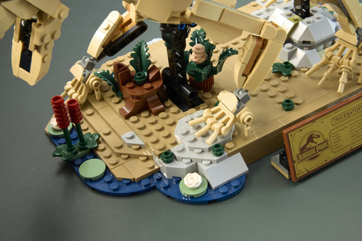 LEGO Jurassic World 77985 Dinosaurusfossiilit: Triceratops – kuva 10
