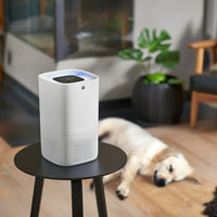 Wilfa Fresh AP-120CW ilmanpuhdistin