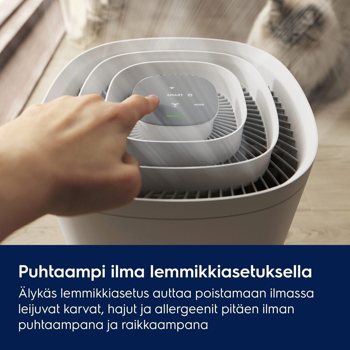 Electrolux Pure 500 XL PetCare ilmanpuhdistin (EPO51573SW)