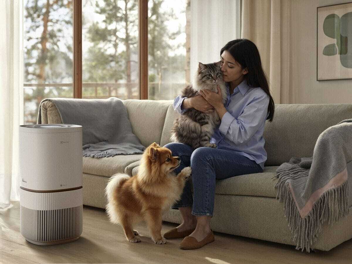 Electrolux Pure 500 XL PetCare ilmanpuhdistin (EPO51573SW)