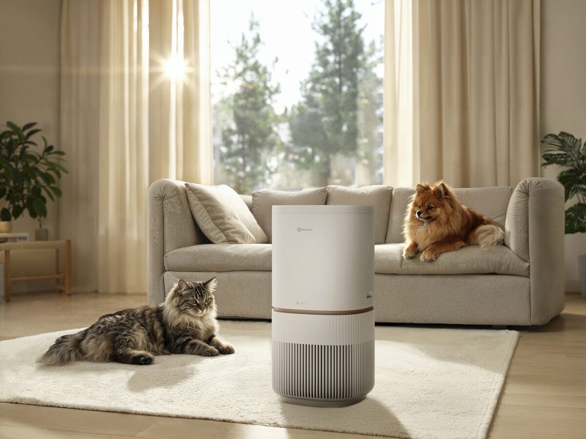 Electrolux Pure 500 XL PetCare ilmanpuhdistin (EPO51573SW)