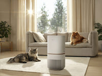 Electrolux Pure 500 XL PetCare ilmanpuhdistin (EPO51573SW)