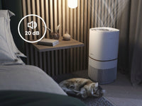 Electrolux Pure 500 XL PetCare ilmanpuhdistin (EPO51573SW)