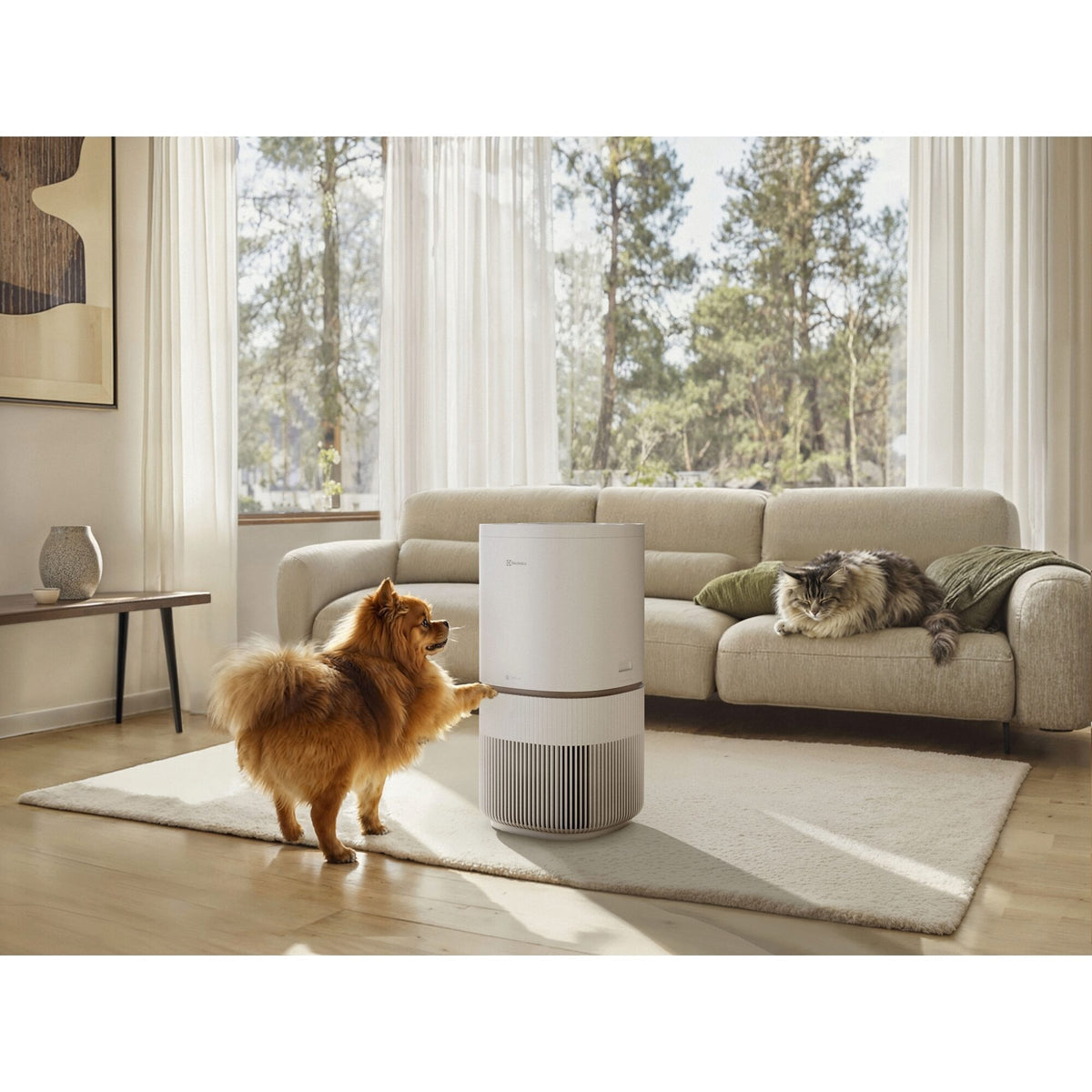 Electrolux Pure 500 XL PetCare ilmanpuhdistin (EPO51573SW)