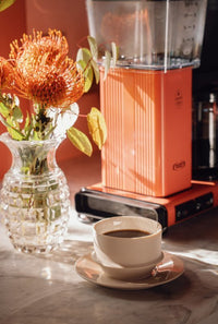 Moccamaster Optio kahvinkeitin, Sorbet