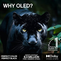 LG 65" OLED evo C6 – 4K TV (C64)