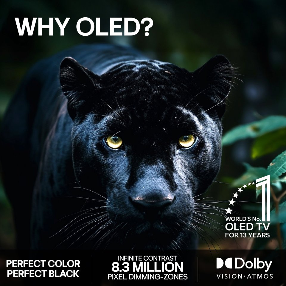 LG 65" OLED evo C6 – 4K TV (C64)
