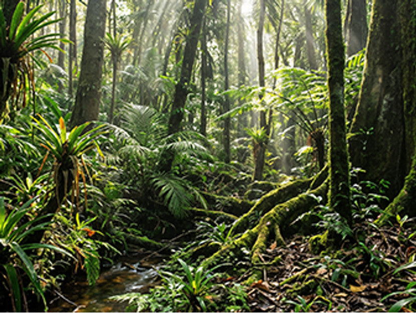 HP OmniBook 3 16-by0016no 16" kannettava, hopea, Windows 11 Home  (D3RV9EA)