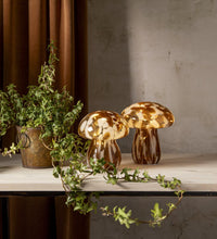 Star Trading Funghi lasikoriste 15 cm, ruskea