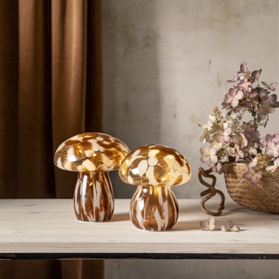 Star Trading Funghi lasikoriste 15 cm, ruskea