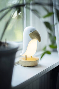 Star Trading Tukaani, USB-ladattava yövalo – 8