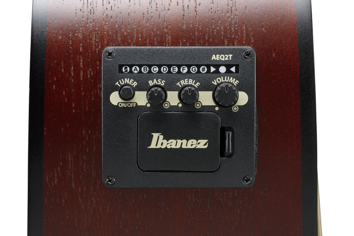 Ibanez PJ50EOAH elektroakustinen kitara – 10