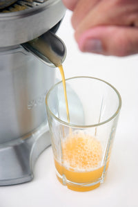 Sage Citrus Press -sitruspuserrin – kuva 3