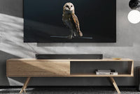 Sennheiser AMBEO Plus Soundbar