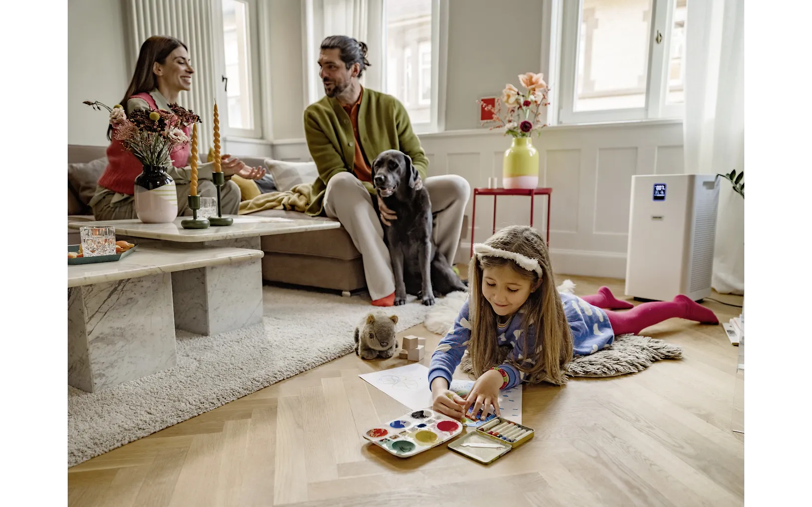 Kärcher AF 50 luftrenare