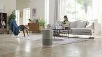 Smartmi Air Purifier P1 Silver -ilmanpuhdistin