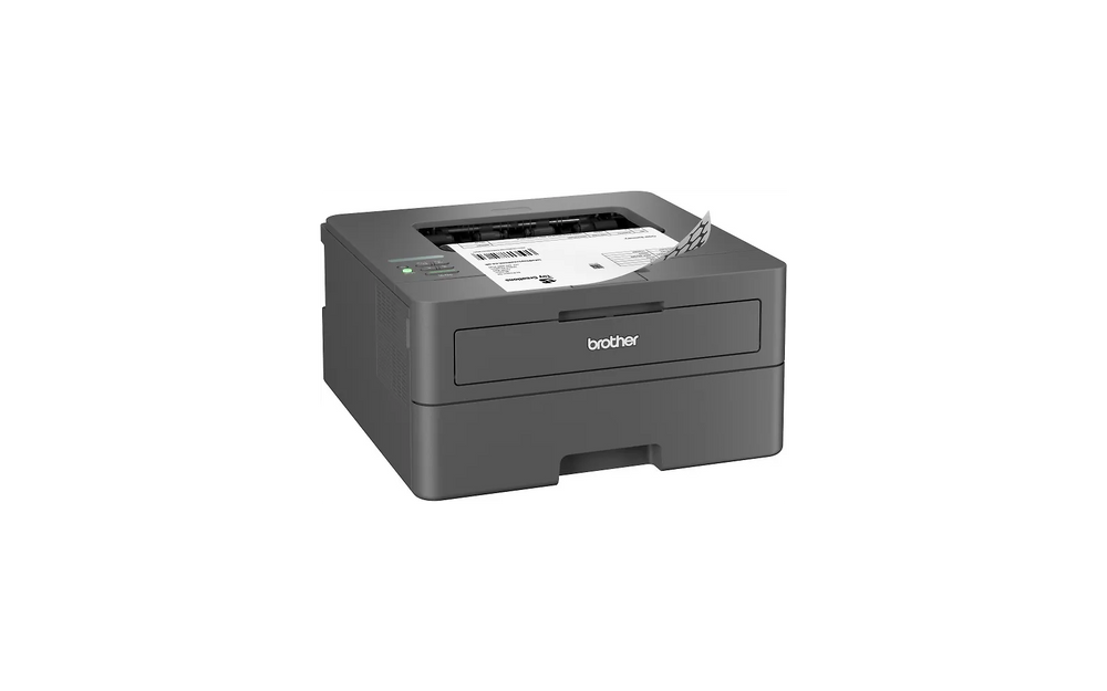 Brother HL-L2400DW - Svartvit laserskrivare