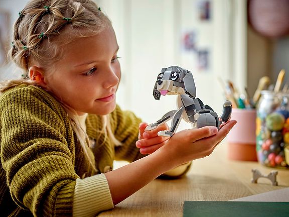 LEGO Creator 31163 – Leikkisä kissa – kuva 21