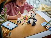LEGO Creator 31165 – Villieläimet: Pandaperhe – kuva 21
