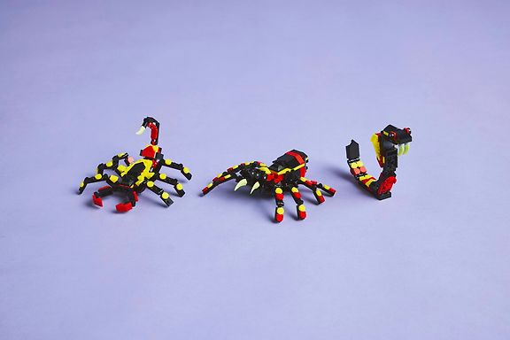 LEGO Creator 31159 – Villieläimet: hämmästyttävä hämähäkki – kuva 24