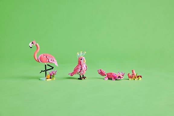 LEGO Creator 31170 – Villieläimet: vaaleanpunainen flamingo – kuva 21