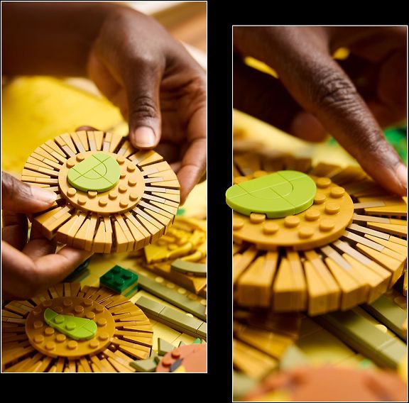 LEGO Art 31215 – tuotekuva 5