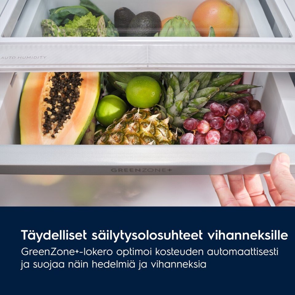 Electrolux LNT7MC36W 700-sarjan jääkaappipakastin, valkoinen, 2m