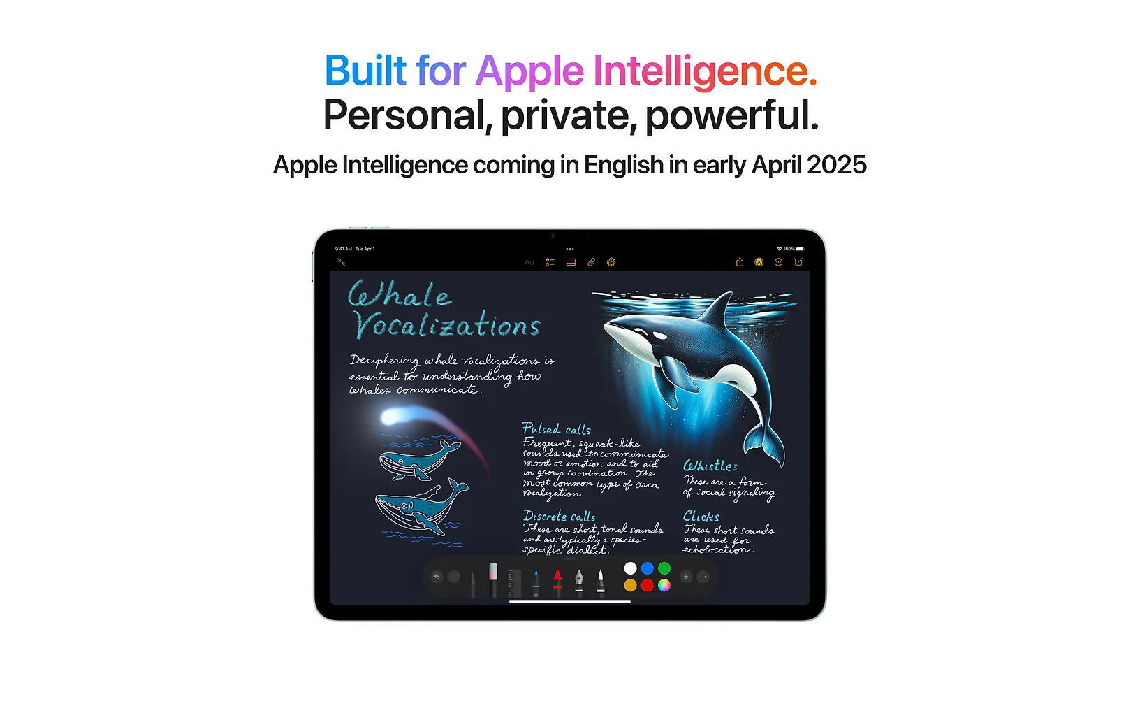 Apple iPad Air 11" M3 128 Gt WiFi + 5G 2025, tähtiharmaa (MCFV4)