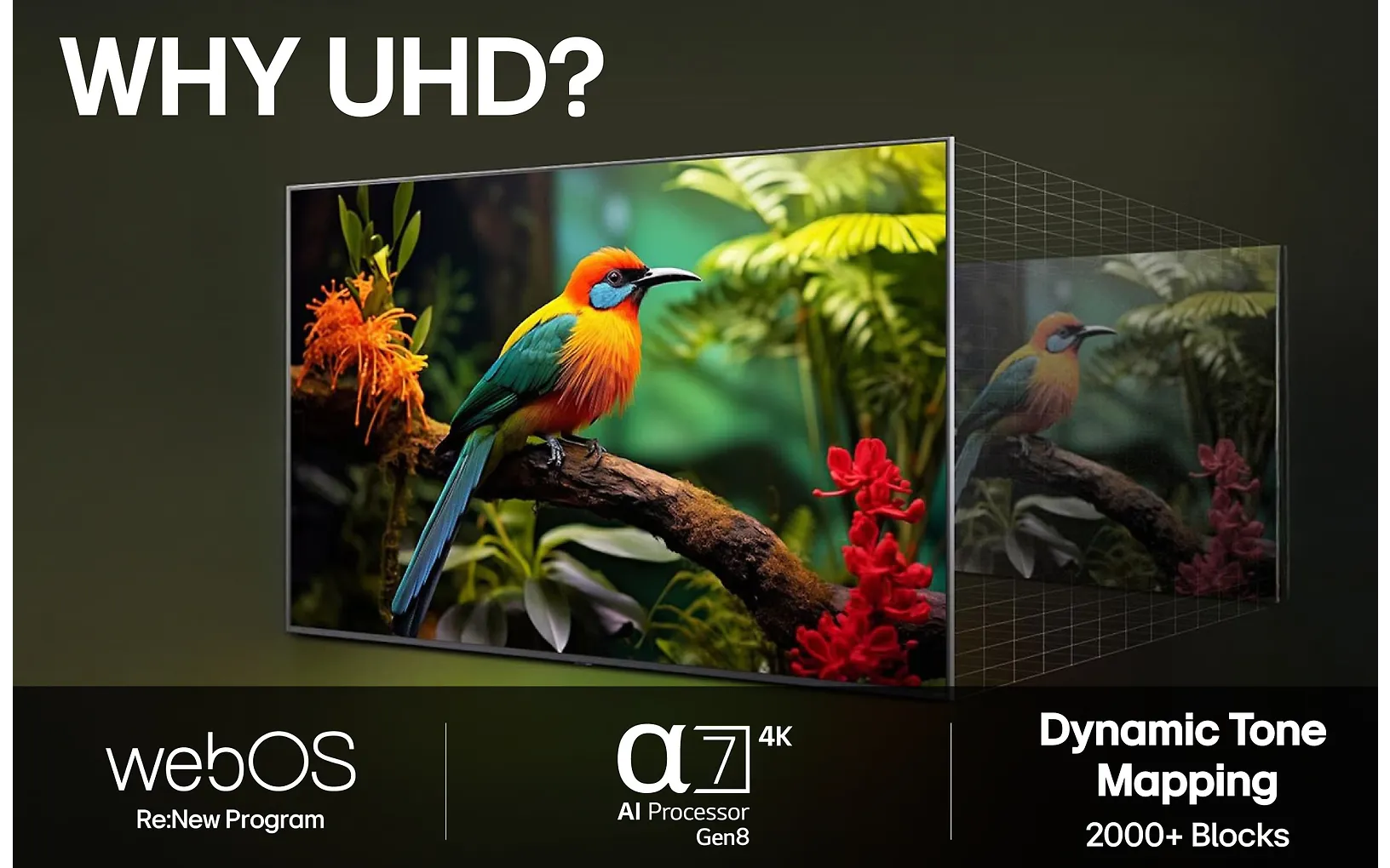 LG 75" UA75 – 4K LED TV