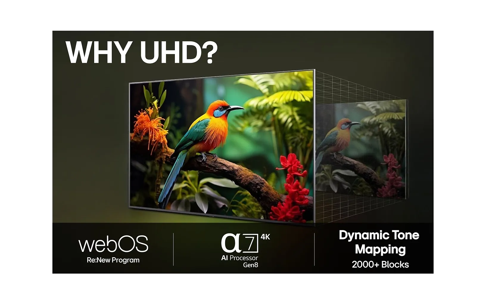 LG 50" UA73 – 4K LED TV