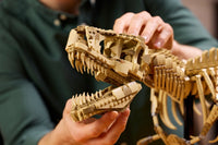 LEGO Jurassic World 76968 Dinosaurusfossiilit: Tyrannosaurus rex – kuva 13