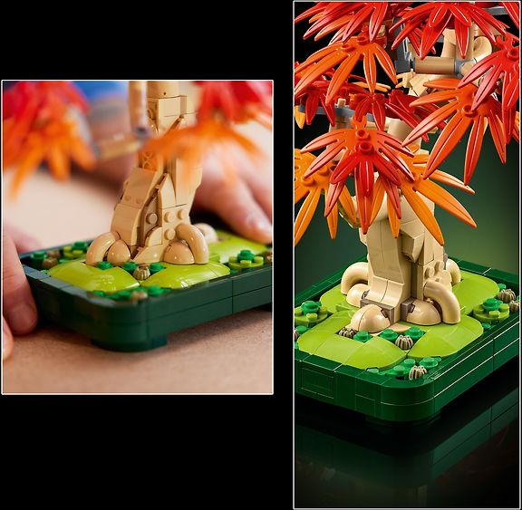 LEGO Botanicals 10348 Punalehtinen japaninvaahtera-bonsaipuu – kuva 5