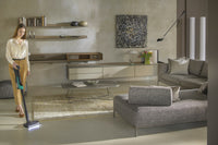 Hoover HF2 Pet varsi-imuri
