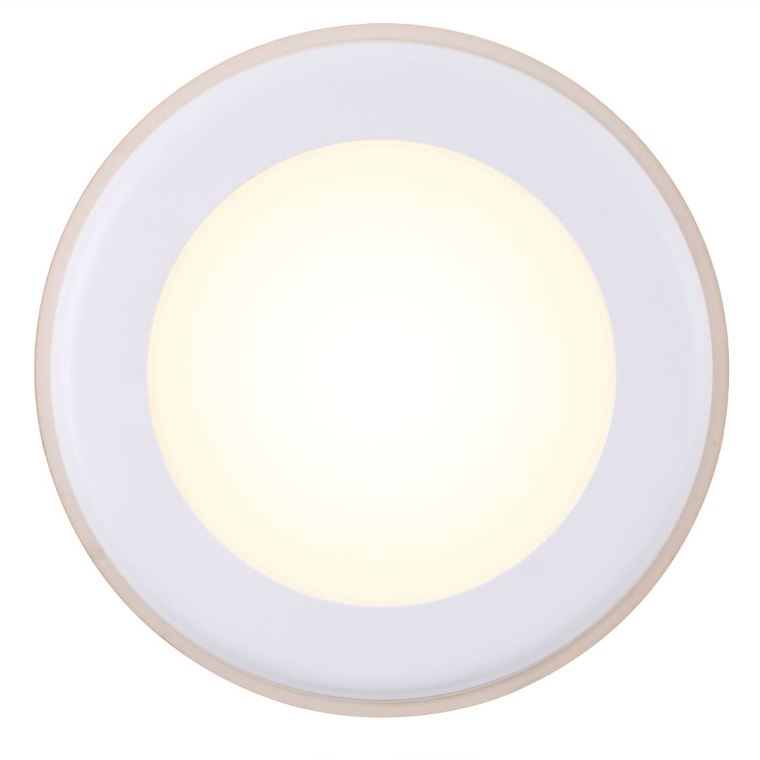 Elkton 14 downlight 12W