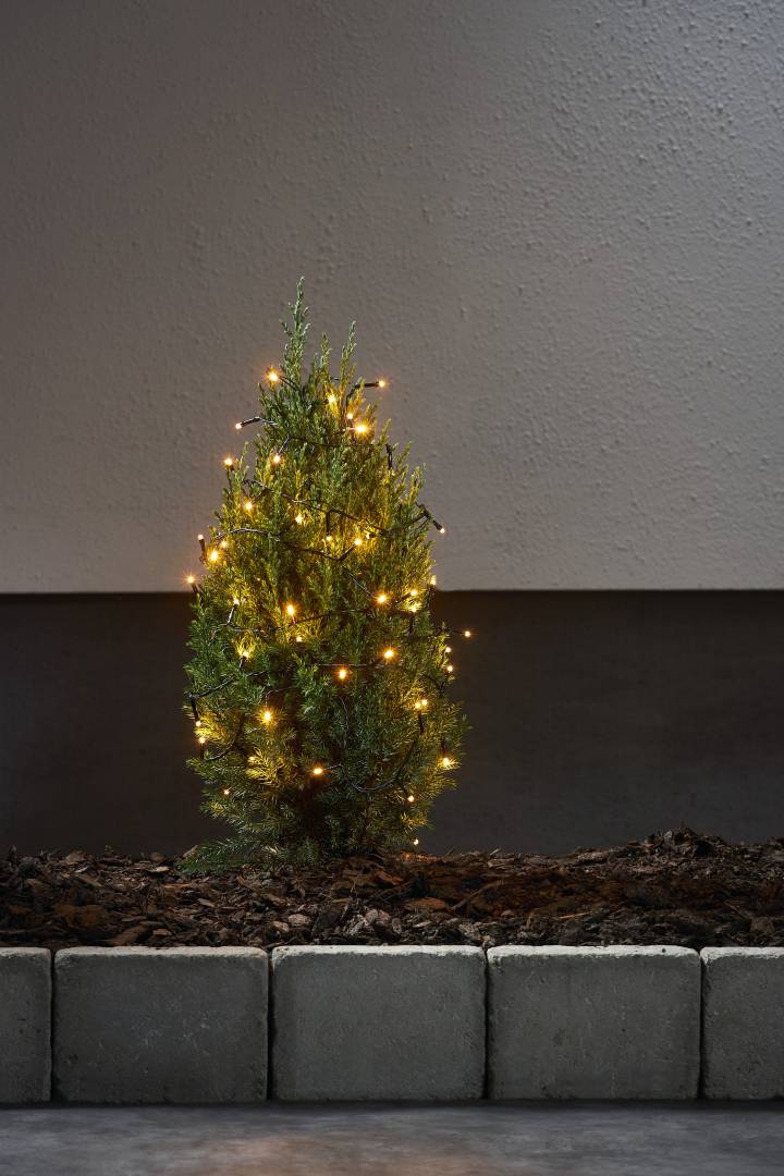 Golden Warm White valosarja 40 LED 2,8m