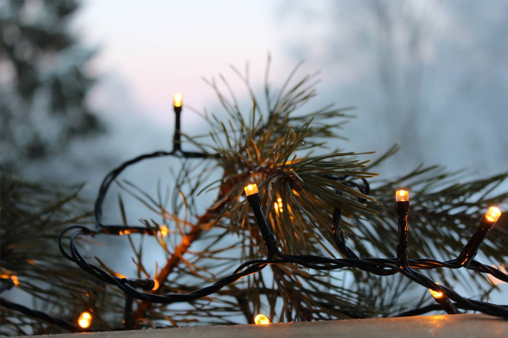 Golden Warm White valosarja 40 LED 2,8m